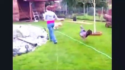 Когда птицы НАПАДАЮТ!  Приключения иностранцев