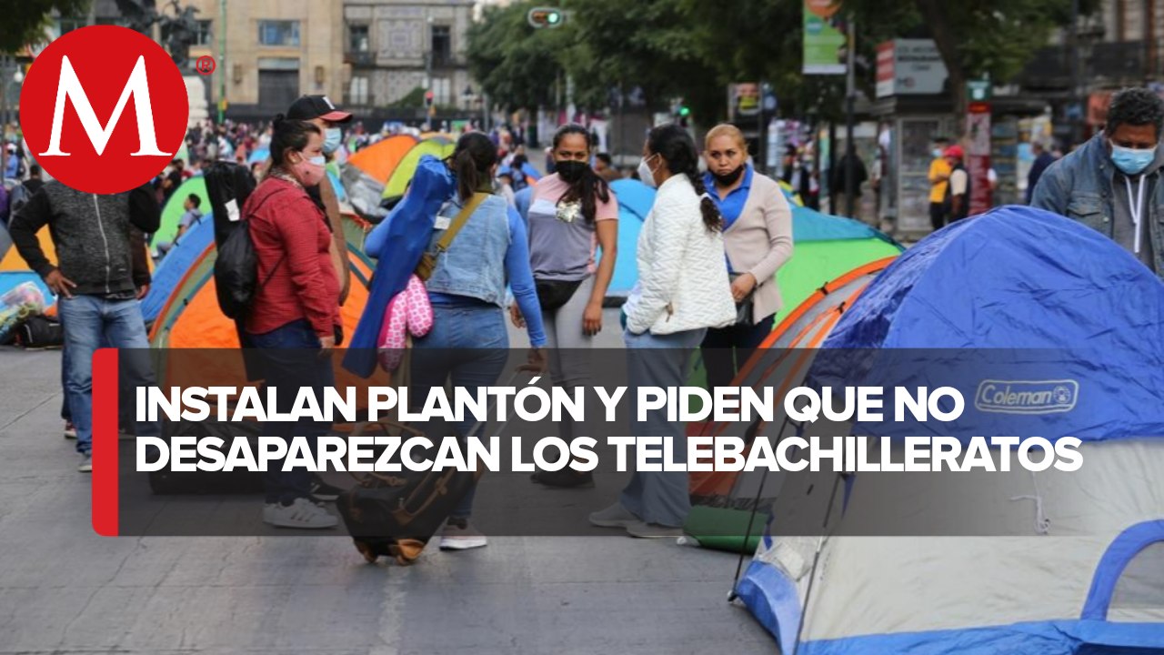 Trabajadores de telebachillerato realizan plant...