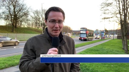 Animal Antics Uplifting Update