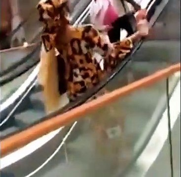Ces Camerounais prennent un escalator pour la première fois !
