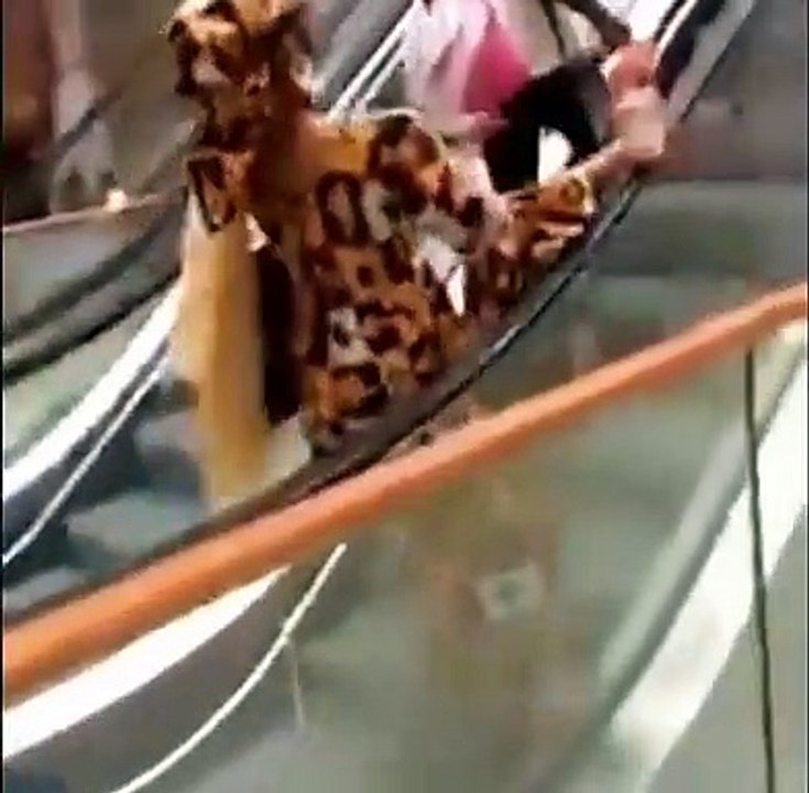 Ces Camerounais prennent un escalator pour la première fois !