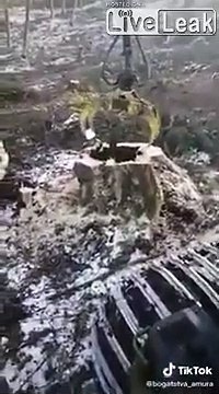 Ce qu'il sort de ce tronc d'arbre avec sa pelleteuse est incroyable...