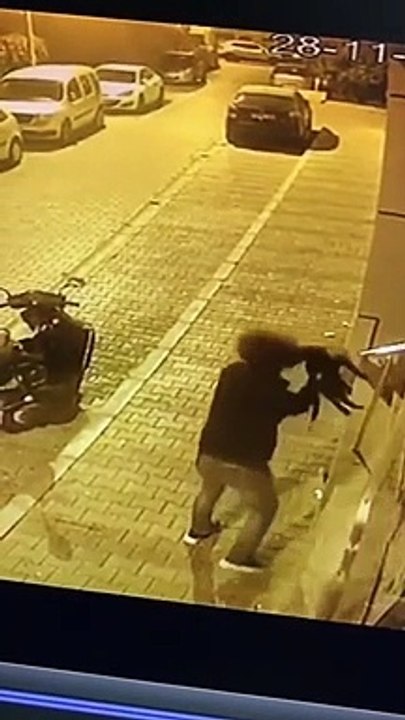 Il trouve un chat dans la rue et joue avec lui... Tellement drôle