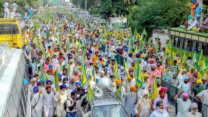 Why are farmers adamant on MSP law? Experts answer