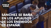 SÁNCHEZ saca adelante el dictamen de los PGE gracias a los ENEMIGOS de ESPAÑA