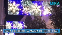 Córdoba se ilumina para celebrar la Navidad y en apoyo del comercio