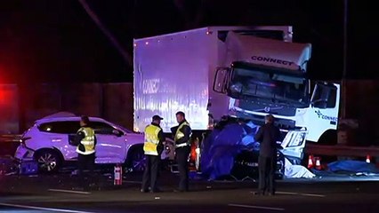 Truck driver pleads guilty to causing deaths of police
