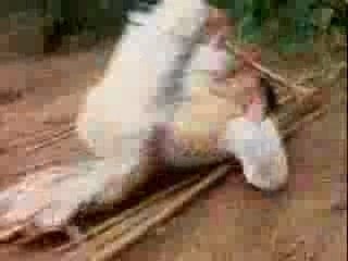 The Crippled Masters - final scene