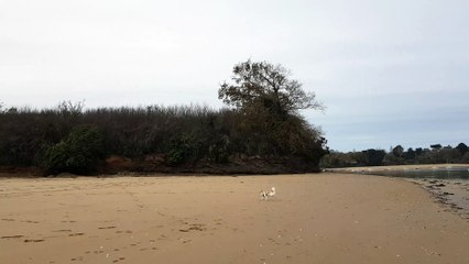 Petit Lutin à la mer