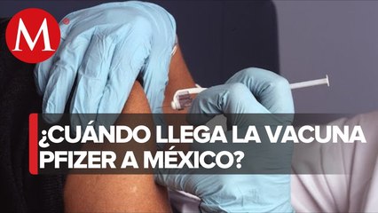 Vacuna de Pfizer podría llegar a México entre el 15 y 16 de diciembre