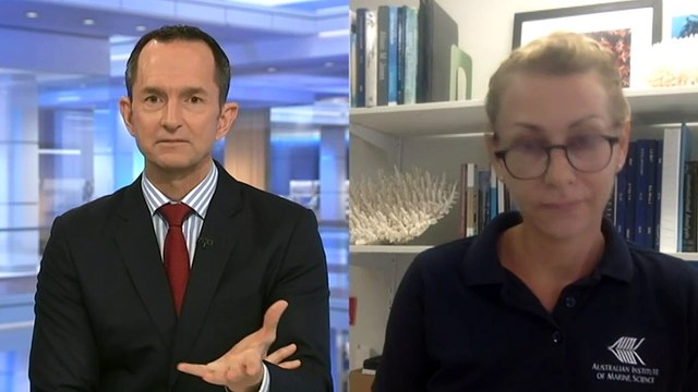 UNESCO body classifies Great Barrier Reef as 'critical'