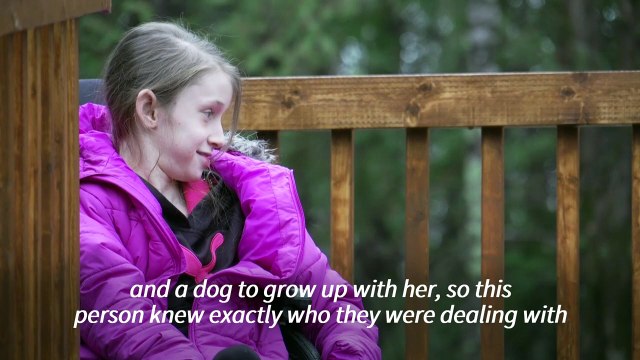 Demand soars for puppies during pandemic, so do scams