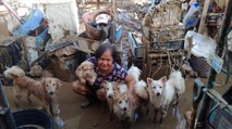 How Pet Dogs Helped This Family Survive Ulysses Floods