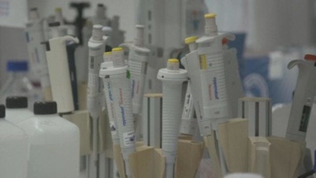 La ONU y líderes mundiales exigen un acceso justo a las vacunas de la covid