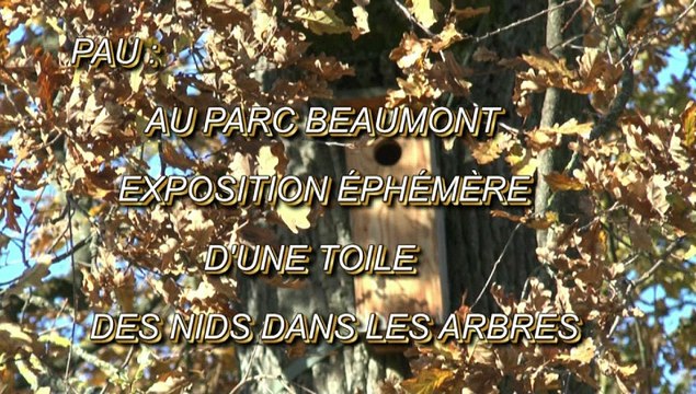 LES W-D.D. MICHOU64 NEWS - 30 NOVEMBRE 2020 - PAU - AU PARC BEAUMONT EXPOSITION ÉPHÉMÈRE D'UNE TOILE DES NIDS DANS LES ARBRES