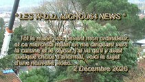 LES W-D.D. MICHOU64 NEWS - 2 DÉCEMBRE 2020 - PAU - DANS LE QUARTIER TRESPOEY DÉMONTAGE D'UN ARBRE