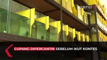 Intip Bisnis Salon Ikan Cupang di Malang