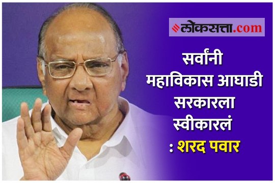 सर्वांनी महाविकास आघाडी सरकारला स्वीकारलं - शरद पवार