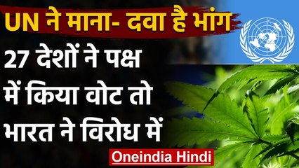 United Nation का ऐतिहासिक फैसला, भांग को माना दवाई, विरोध में भारत | वनइंडिया हिंदी