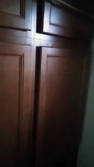 FIGURE CORNER:WOODY WOOD PECKER