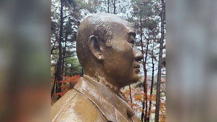 [뉴스큐] '전두환 동상 철거' 두고...찬반 갈등 깊어져 / YTN