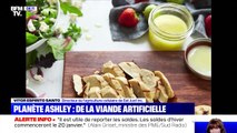 De la viande artificielle - 04/12