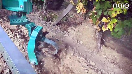 LIVE EXPOSANT (NAIO) Demo Live