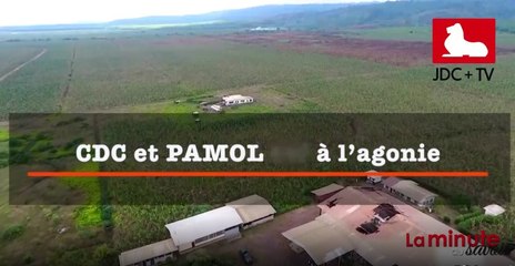 La Minute du Savoir  - #04 - L'impact socio-économique de la crise anglophone au Cameroun