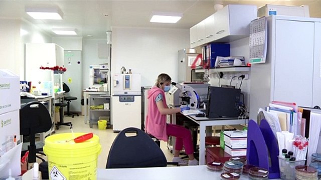 Rumänien: Wahlkampf- Star Corona