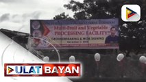 Ilang mala-paraisong pasyalan sa Palawan, bukas na sa mga turista; Puerto Princesa City, bubuksan na sa local tourists sa Dec. 8