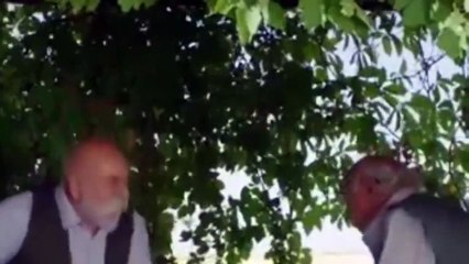 Hercai Cap 49 Completo HD Español