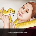 A woman who has snake as pet