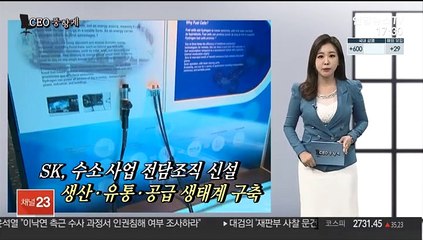 [CEO풍향계] 항공 통합 고비 넘긴 조원태…수소시장 뛰어든 최태원