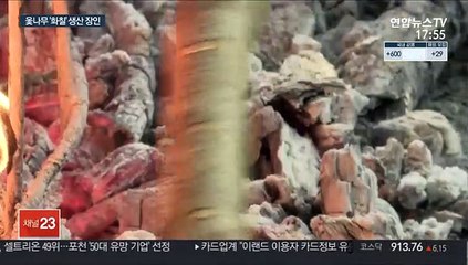 옻나무 불에 그을려 얻는 천연약재 '화칠' 채취 한창