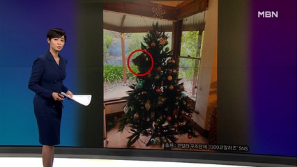 김주하의 12월 4일 '이 한 장의 사진'