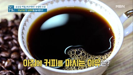 모닝 커피가 집중력을 높여준다는 소문의 진실은?