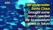 Santa Claus Brings Holiday Joy to Aquarium Visitors With Underwater Show