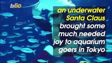 Tải video: Santa Claus Brings Holiday Joy to Aquarium Visitors With Underwater Show