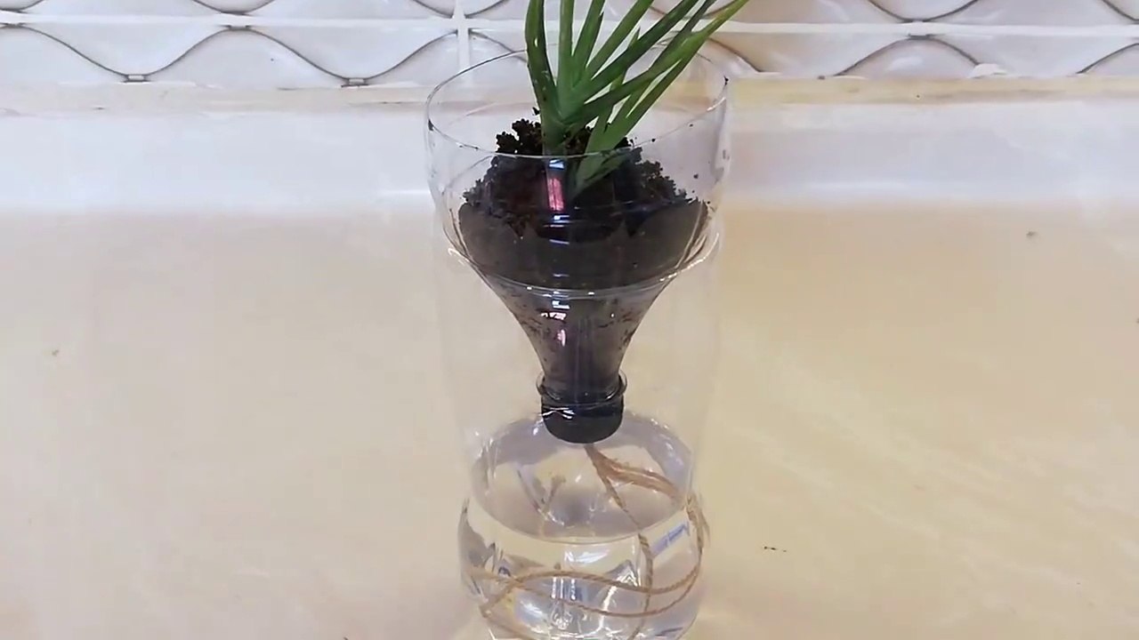 Pratik Fikirler | Pet Şişeden Saksı Nasıl Yapılır ? PLASTIC BOTTLES HACKS