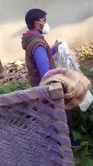 झोपड़ी में दिखा अजगर, घर मे मचा हड़कंप