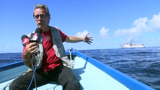 Stop illegal shrimp trawlers - FFOS pleading for gov't intervention