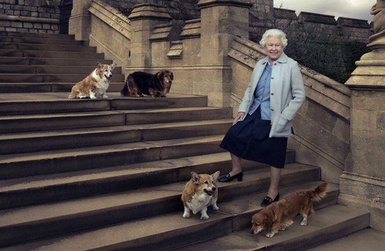 Muere uno de los dos últimos perros de la reina Isabel II