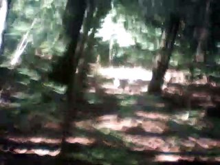 Poor Wayfaring Stranger c