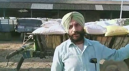 धान खरीद न होने पर गुस्साए किसान, धान की होली जलाने और सड़कों पर उतरने की चेतावनी दी