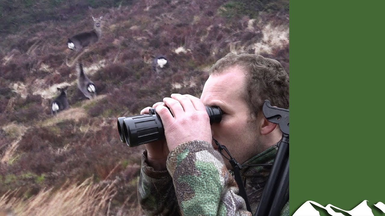 Deer: from Field to Freezer