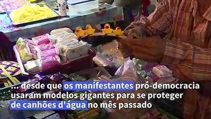 Revolução com patos de borracha