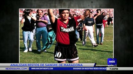 Analizan restos de sangre de Diego Armando Maradona - Nex Noticias