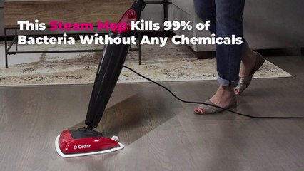 This Steam Mop Kills 99% of Bacteria Without Any Chemicals