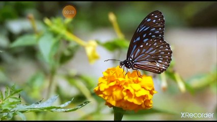 شعر اسلامي الرزق مكتوب في اللوح مع الاجل