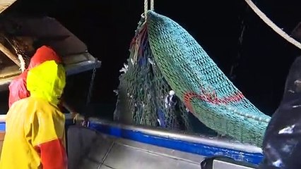 French fisherman on tenterhooks over Brexit 'No Deal'